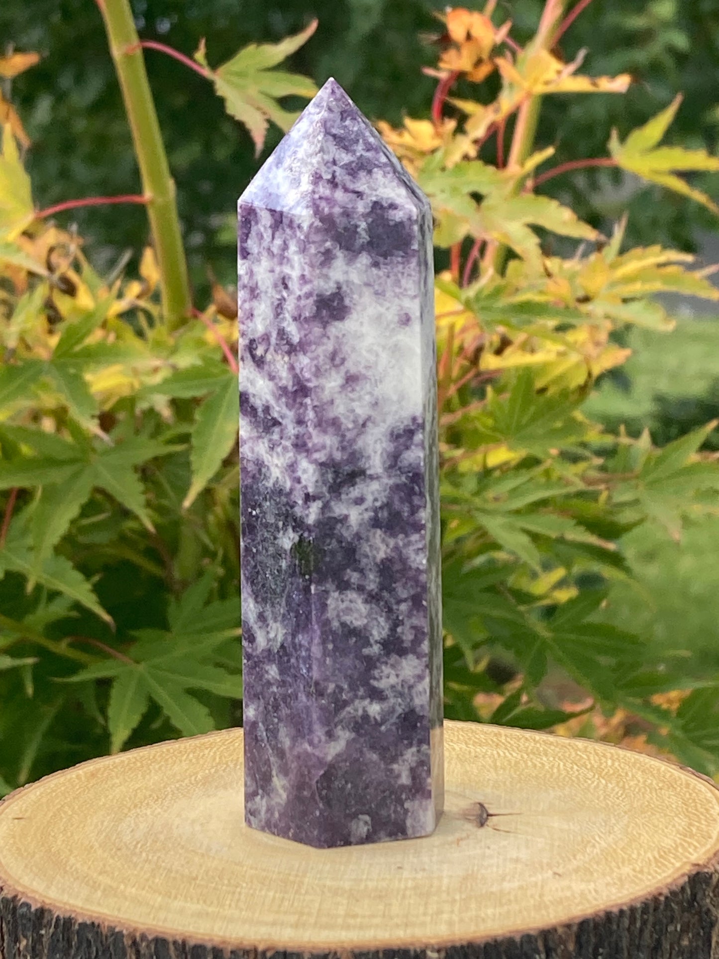 Alt Text: A tall, polished amethyst tower stands upright on a natural wood slice base with bark edges. The crystal point features a marbled mix of deep purples, soft lavenders, and white, forming a speckled and cloudy pattern throughout its six-sided structure. The background is filled with lush green leaves and soft sunlight, creating a calm and earthy outdoor setting.