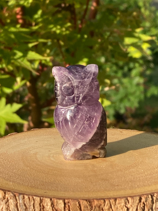 A small owl figurine carved from amethyst crystal is displayed outdoors on a natural wooden slice with bark edges. The owl features detailed wings, facial features, and feather etchings, showcasing the stone’s translucent purple hues with white and gray marbling. In the background, green foliage is softly blurred, giving the scene a serene and earthy ambiance.